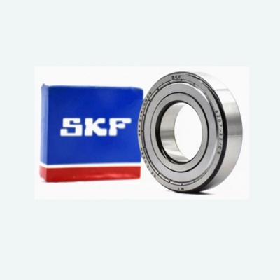 6001 SKF