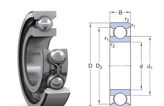 61816  SKF